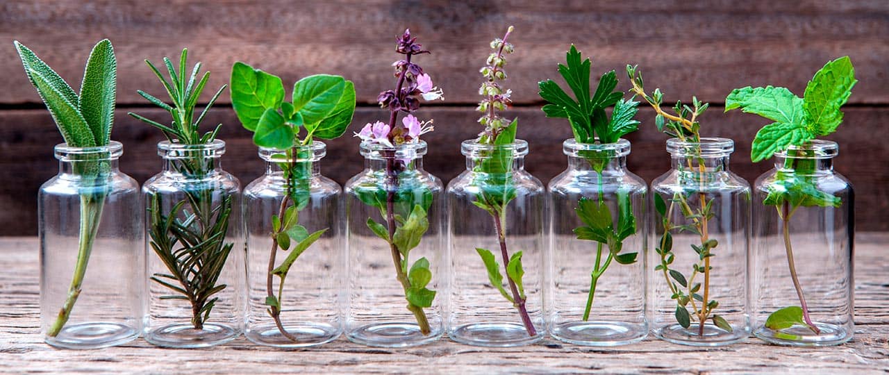 Glasfläschchen mit verschiedenen Heilpflanzen, vor hölzernen Hintergrund