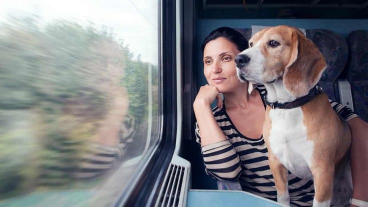 Mit Hund Zug fahren